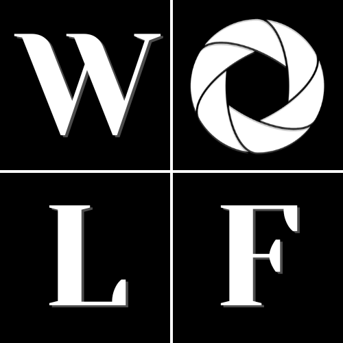 wolfeboro photography logo